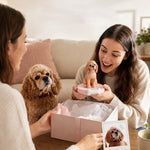 Custom Pet Bobblehead from Photo