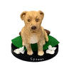 Custom Pet Bobblehead - Brown Dog