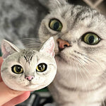 Custom Bobblehead Fridge Magnets Pets Funny Face