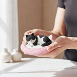 Custom Cat Bobblehead with Pink Cat Bed Base