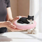 Custom Cat Bobblehead with Pink Cat Bed Base