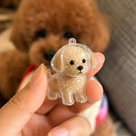 Personalized Dog Memorial Keychain with Fur Storage