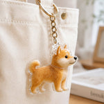 Personalized Dog Memorial Keychain with Fur Storage