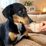 Personalized Dog & Cat Coffee Cup with Handmade Pet Figure