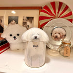Personalized Ceramic Pet Urn – Custom Dog & Cat Memorial Keepsake