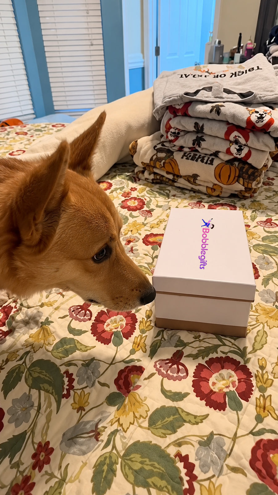 Wait… even my dog had to check out his mini-me! 🐶😂