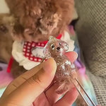 Personalized Dog Memorial Keychain with Fur Storage