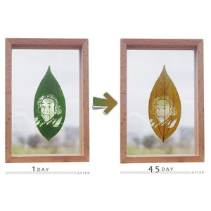 Customized Photos of Leaf Carving - 1 Person